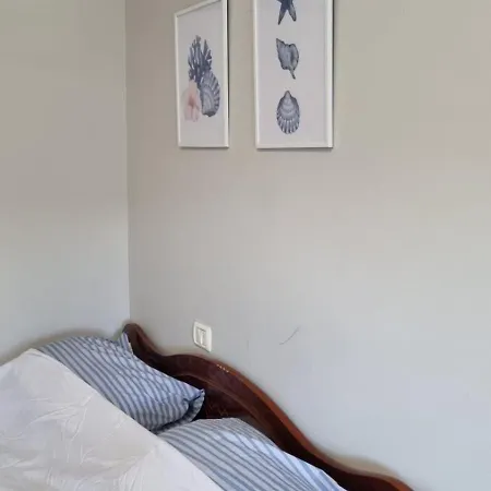 Flower Side Sea View